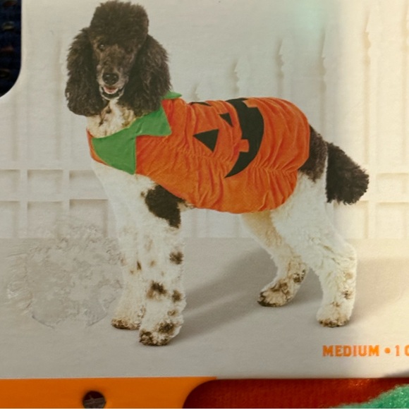 Pet Dog Pumpkin Halloween Costume Medium Up To 40 lbs. Party Dress-up NEW - Picture 1 of 9